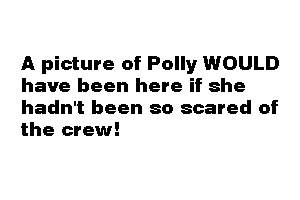 No Polly