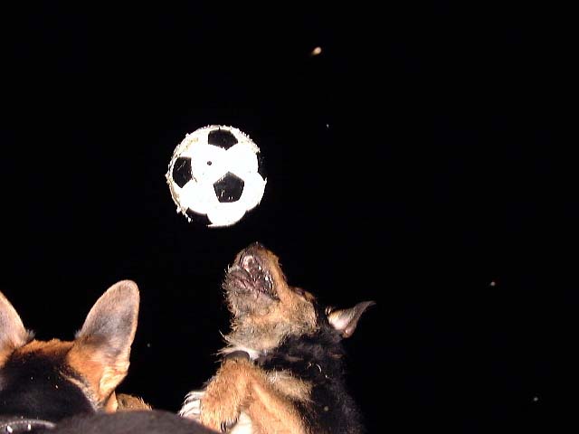 Stewart playing football with his mate Fox late one night on the local pitch